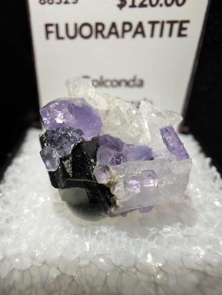 Fluorapatite
