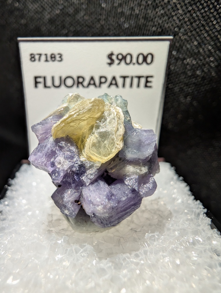 Fluorapatite
