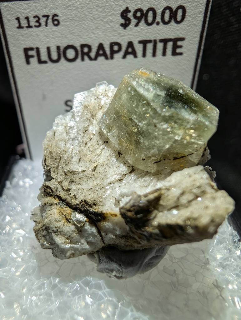 Fluorapatite