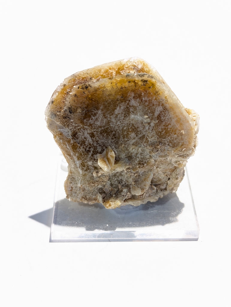 Hydroxyl- Herderite