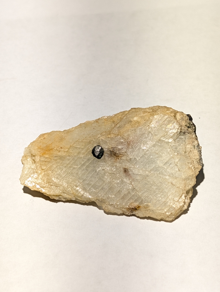Fluornatromicrolite On Albite