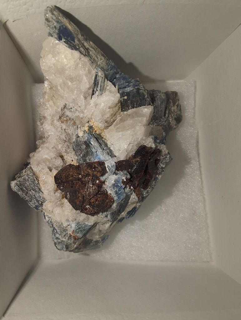 Stauroline On Kyanite