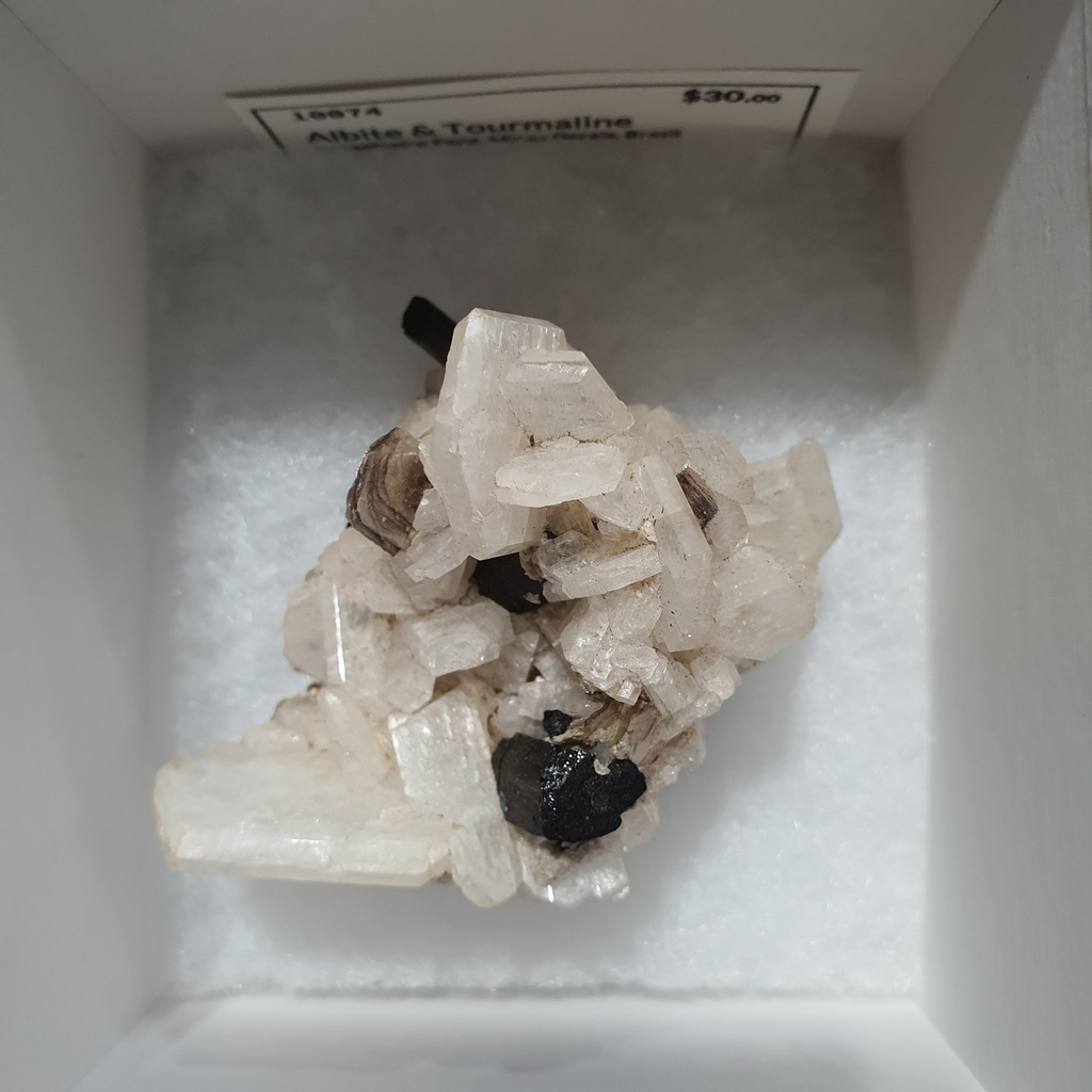 Albite & Tourmaline