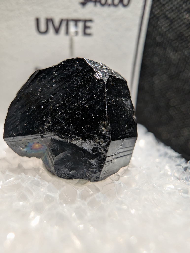 Uvite