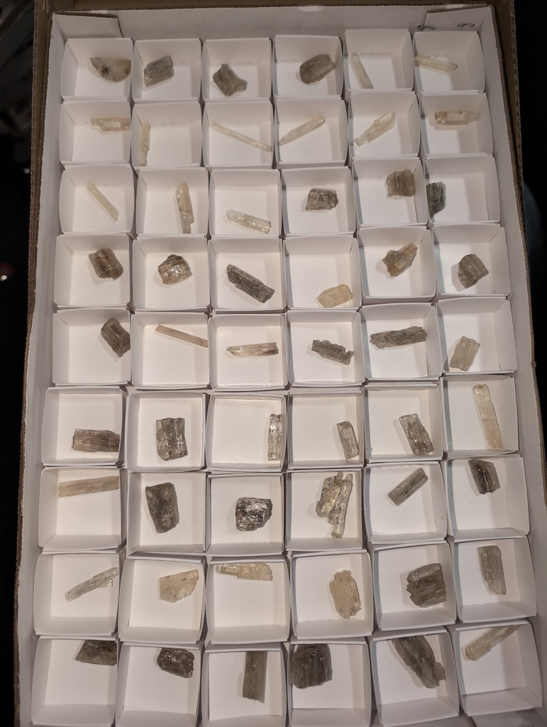 Scapolite