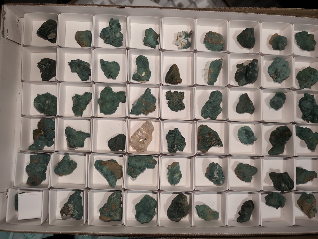Gormanite