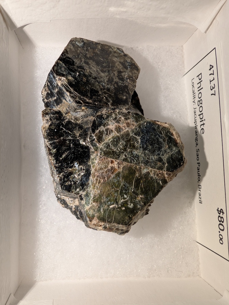 Phlogopite