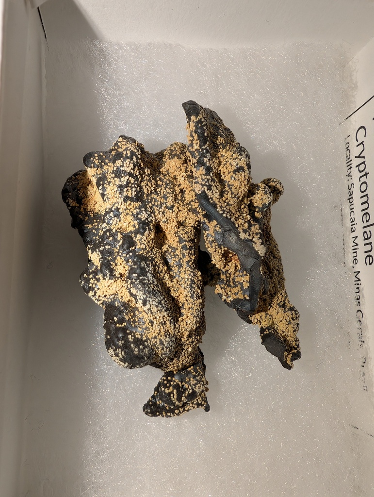 Meurigite-K On Cryptomelane