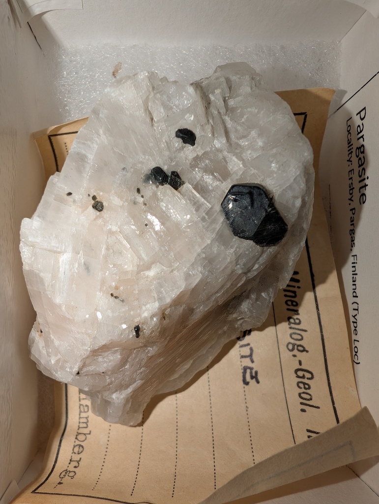 Pargasite