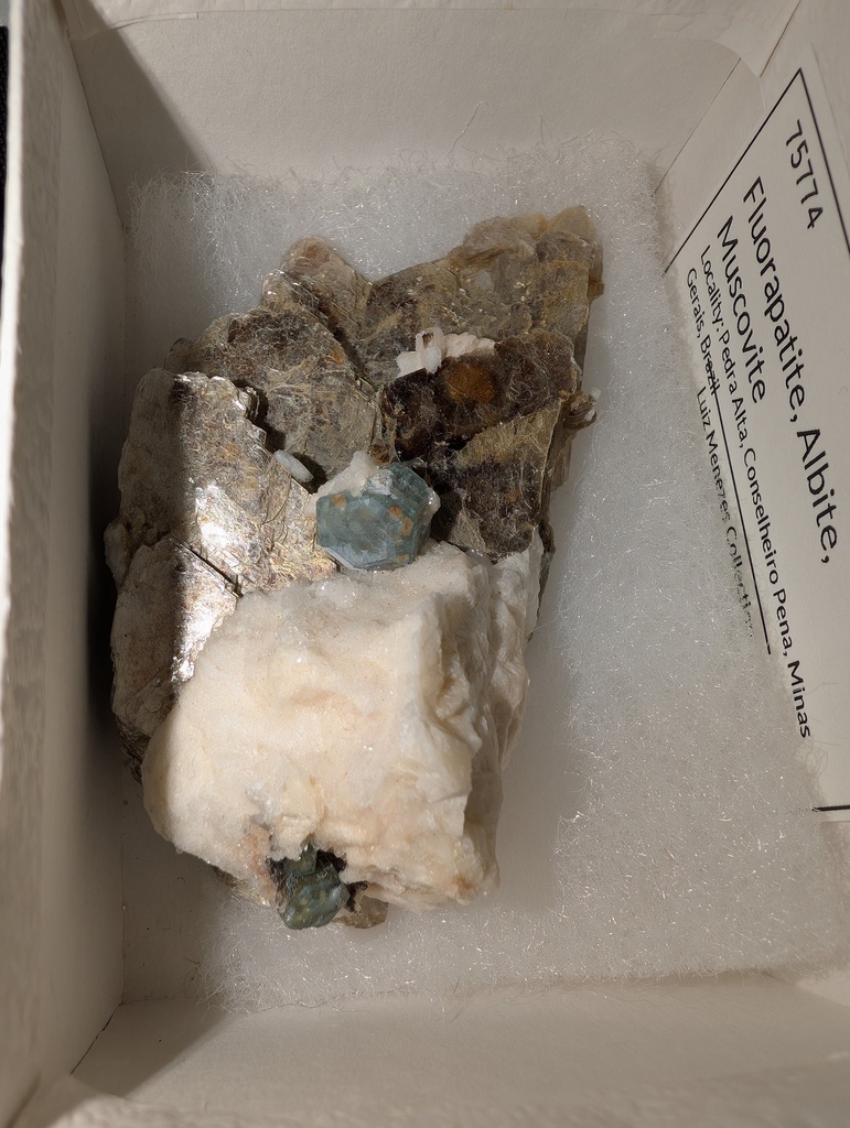Fluorapatite, Albite, Muscovite