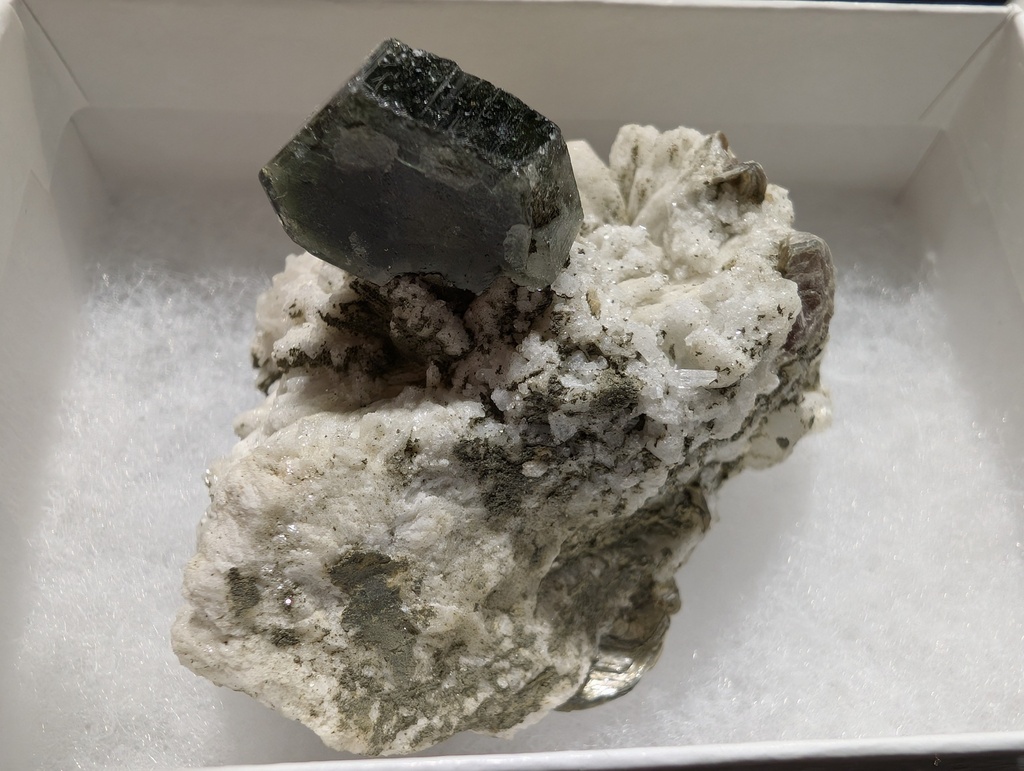 Fluorapatite