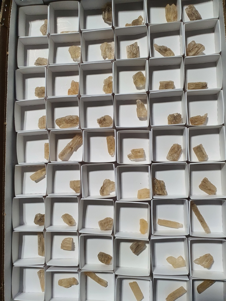 Scapolite