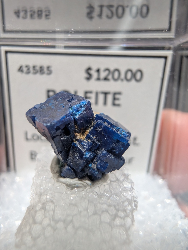 Boleite