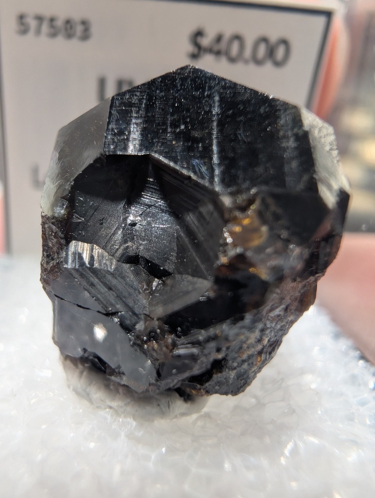 Uvite