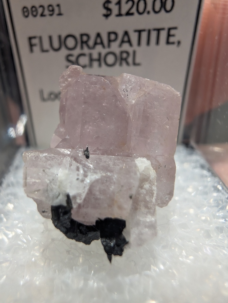 Fluorapatite, Schorl