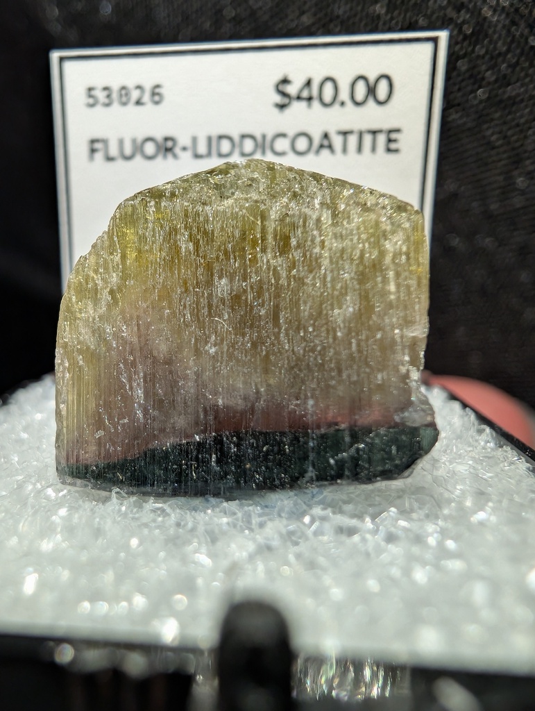 Fluor-liddicoatite