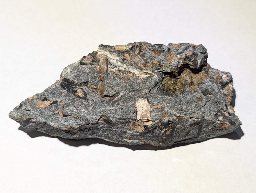 Catapleite