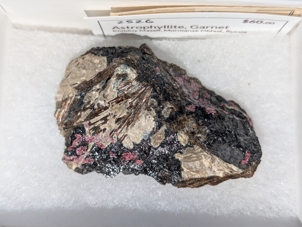 Astrophyllite, Garnet