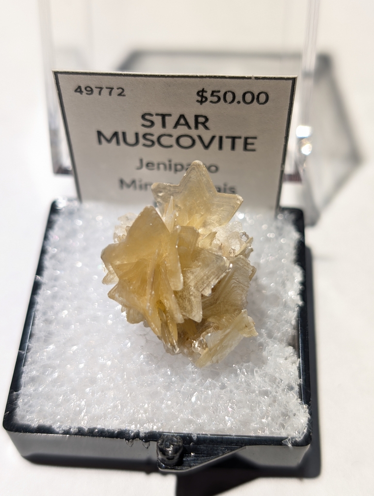 Star  Muscovite