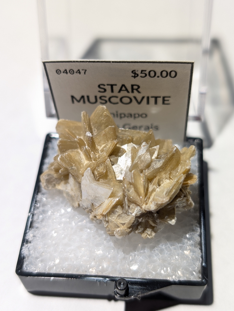 Star  Muscovite