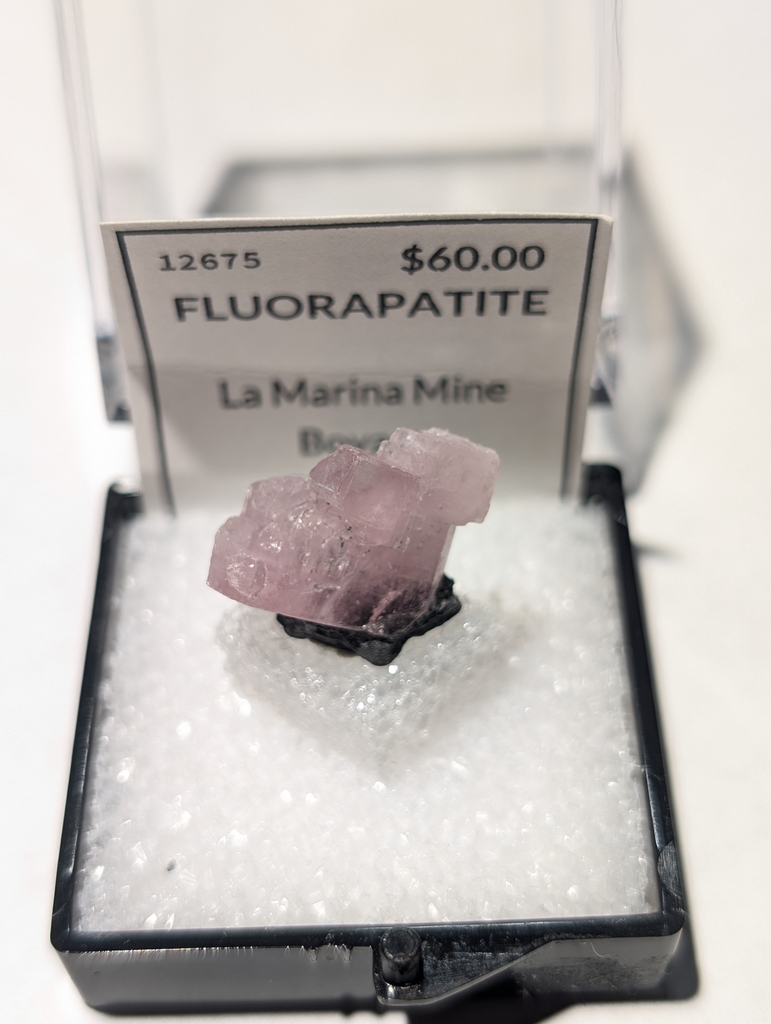 Fluorapatite