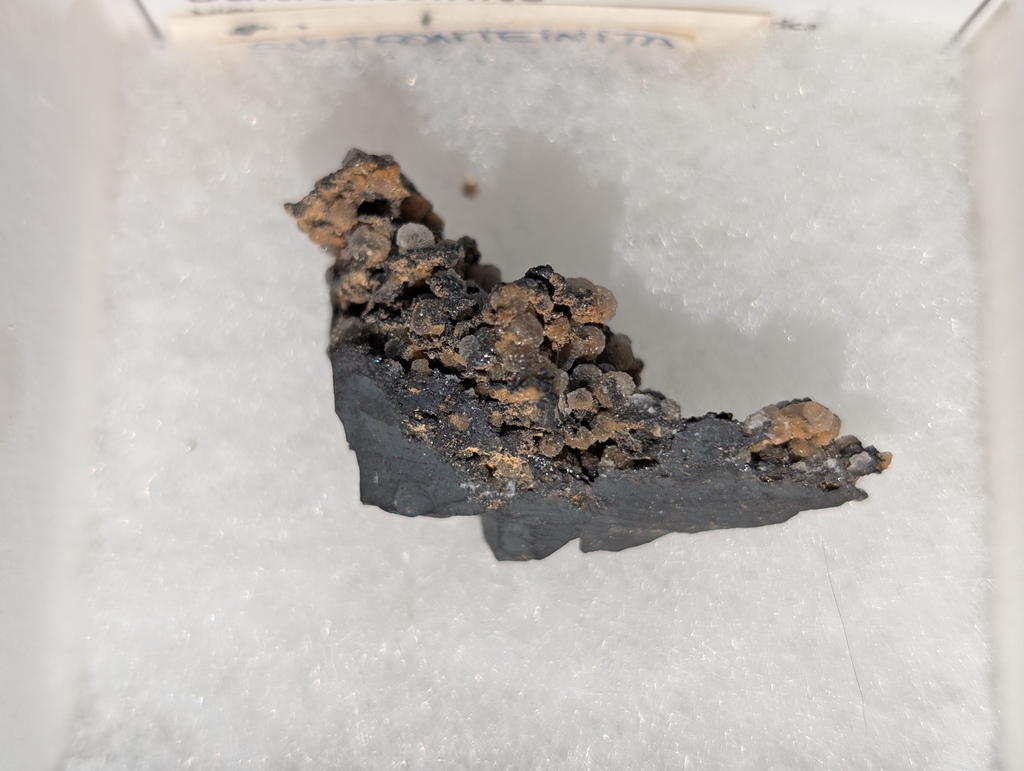 Bultfonteinite