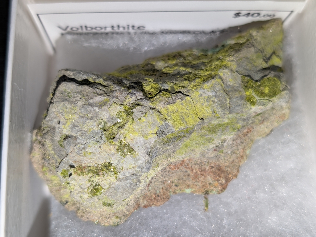 Volborthite