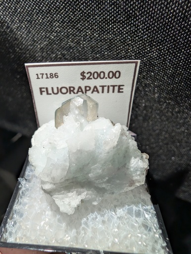 [83] Fluorapatite