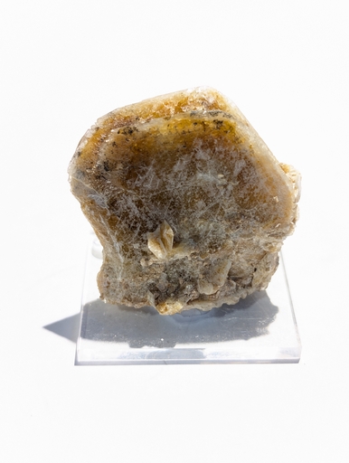 Hydroxyl- Herderite
