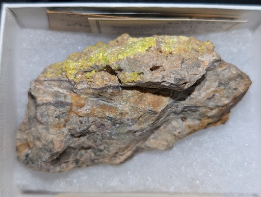 Uranocircite