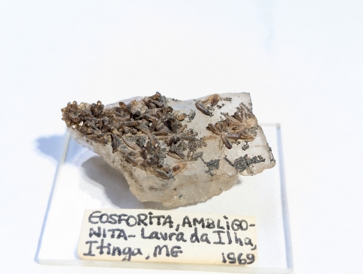 Eosphorite On Amblygonite