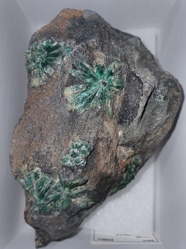 Emerald