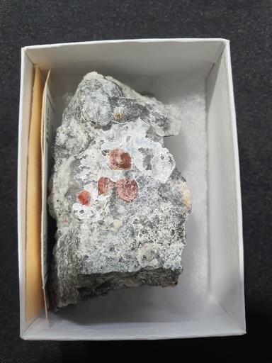 Eudialyte