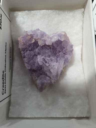 Creedite