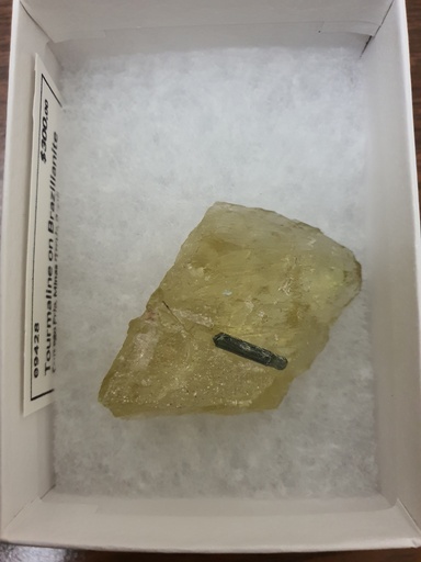 Tourmaline on Brazilianite