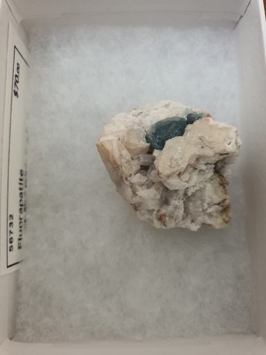 Fluorapatite