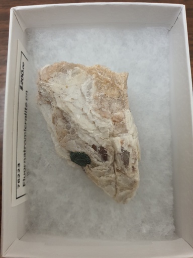 Fluornatromicrolite on Albite