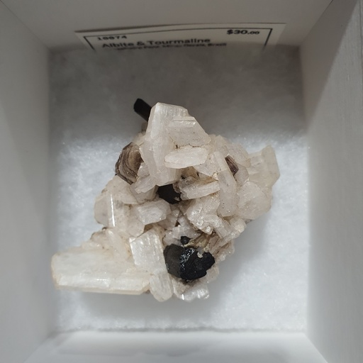 Albite & Tourmaline