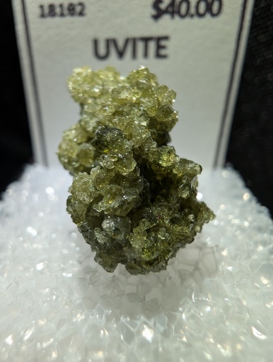 [311] Uvite