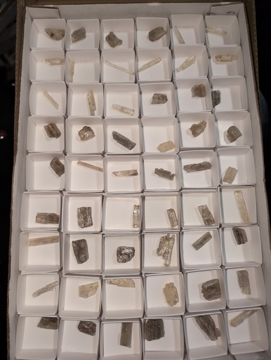 Scapolite