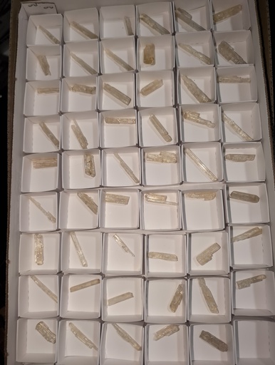 Scapolite
