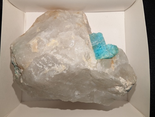 Paraíba Tourmaline on Quartz
