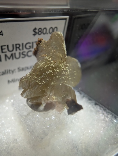 Meurigite-K On Muscovite