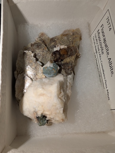 Fluorapatite, Albite, Muscovite