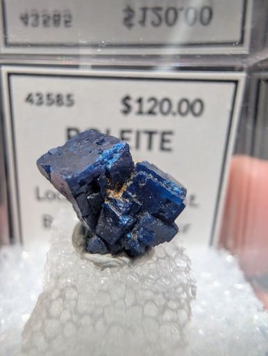 Boleite