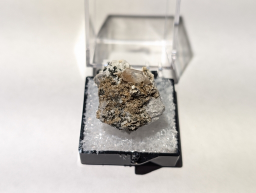 Catapleite