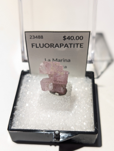 Fluorapatite
