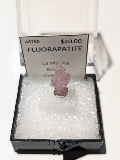 Fluorapatite