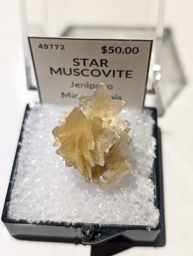 Star  Muscovite