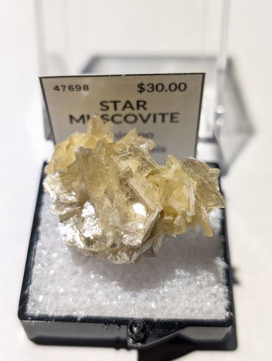 Star  Muscovite
